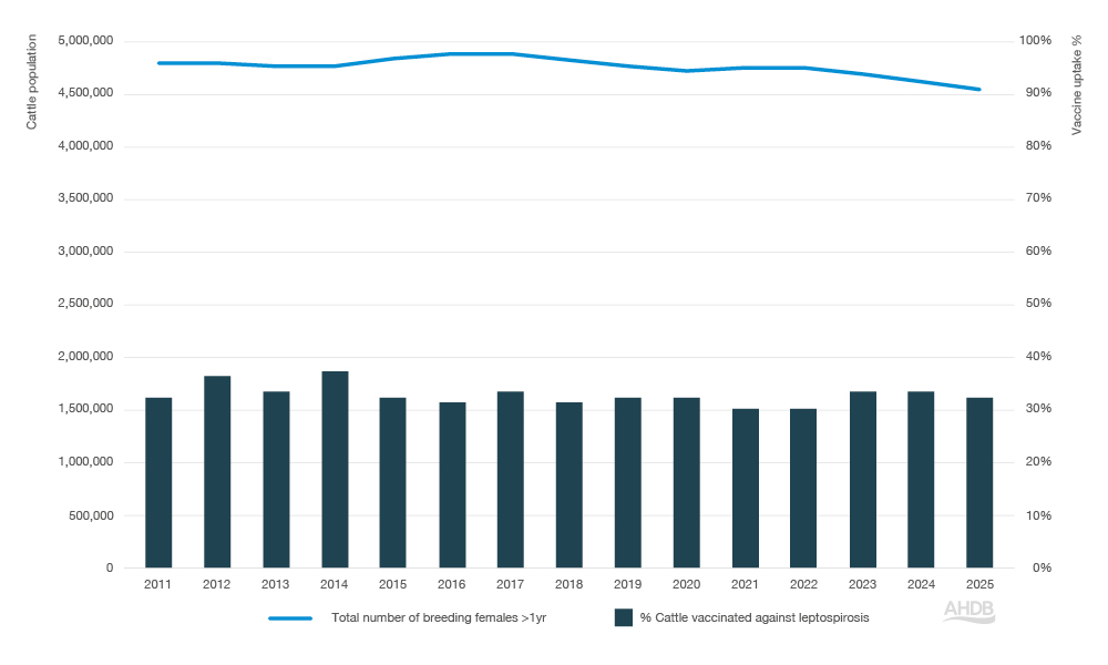 Bar and line chart showing leptospirosis vaccination between 2012–2025.